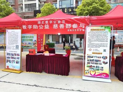 安陆市慈善会开展“汇聚慈善力量暖民心， 幸福家园共同缔造”慈善公益行活动