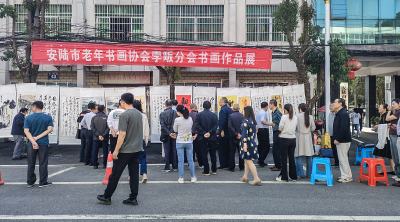 安陆市老年书画协会孛畈分会会员优秀书画作品展开展