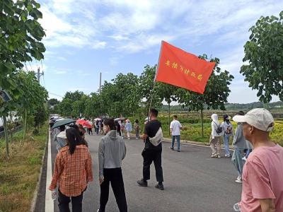 诗意白兆山，醉美示范片——安陆市财政局开展“诗仙小镇”健步行活动