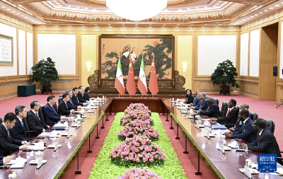 习近平同赤道几内亚总统奥比昂会谈