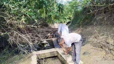 安陆市陈店乡：打通农田灌溉“最后一百米”