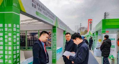 安陆市孛畈镇：抢占发展新赛道 实现招商新突破