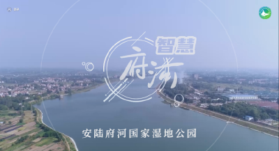 安陆府河“智慧湿地”正式上线运行