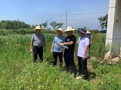 安陆市城乡建设用地增减挂钩项目通过孝感市级验收