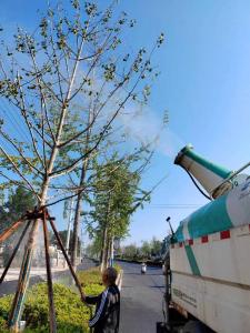 安陆：抗旱保绿，守护城市绿色
