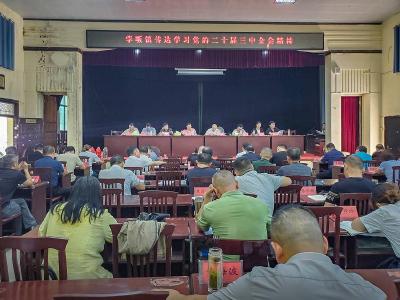 安陆市孛畈镇传达学习贯彻党的二十届三中全会精神