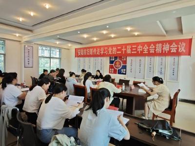 安陆市妇联传达学习党的二十届三中全会精神