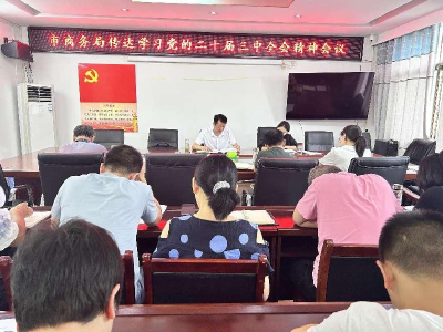 安陆市商务局传达学习党的二十届三中全会精神