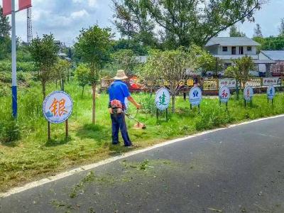 安陆市洑水镇：扎实开展农村路域环境整治行动 