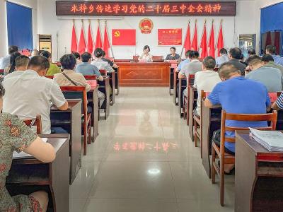 安陆市木梓乡集中学习党的二十届三中全会精神