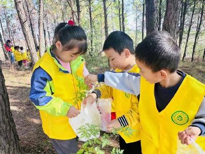 秋韵满校园 童趣映自然—— 安陆市陈店乡中心幼儿园开展幼儿户外寻秋活动