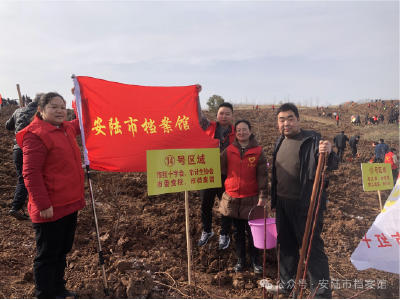 义务植树添新绿 植树造林正当时