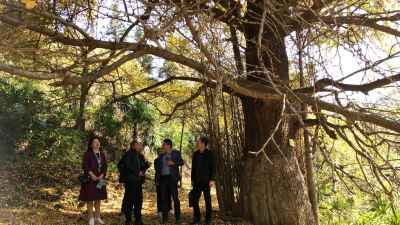 安陆科协调研指导特色产业科普基地建设工作