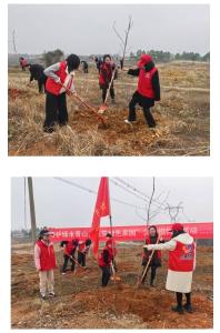 “巾帼她力量 共植此春色” ——安陆市陈店乡妇联组织开展义务植树活动