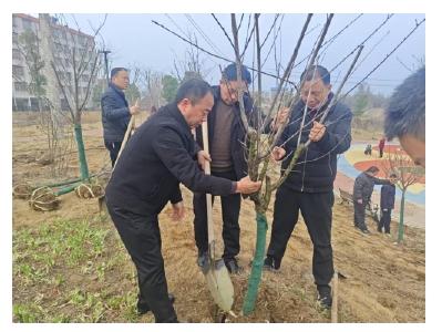 安陆市李店镇开展义务植树活动