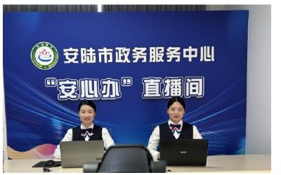 安陆市医保局“安心办”政务直播 —— 解锁城乡居民医保参保全攻略
