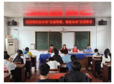 安陆市棠棣镇创新形式开展禁毒宣传教育