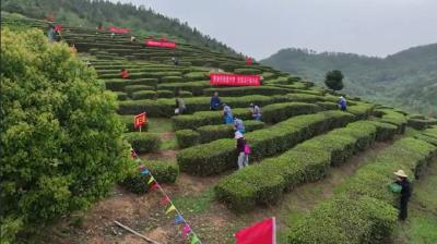 “妙手”论英雄！安陆这场比赛乡味十足