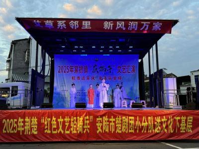 安陆市棠棣镇：粽香传情暖棠棣 文化惠民庆端午