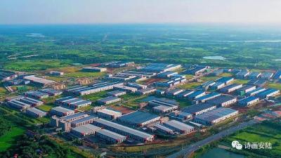 连续九年蝉联全省科技创新优秀县市——安陆推动科技创新与产业创新融合发展