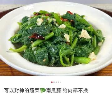 富含膳食纤维且热量超低！这种菜现在吃正好