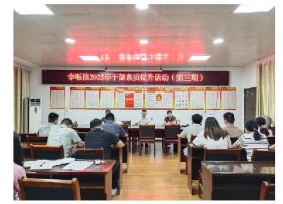 安陆市孛畈镇举办年轻干部素质提升培训