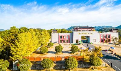 “复兴德安、振兴安陆”看他们怎么干|王义贞镇：银杏之乡绘出复兴德安新图景