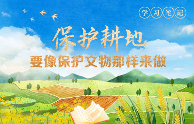 天天学习｜保护耕地要像保护文物那样来做