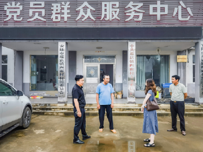 安陆市：巡察护航 方寸之地解民忧