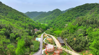 央视《大美中国》聚焦钱冲银杏