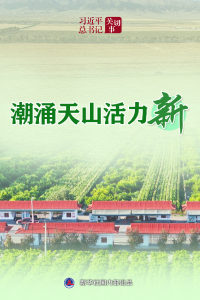 习近平总书记关切事丨潮涌天山活力新