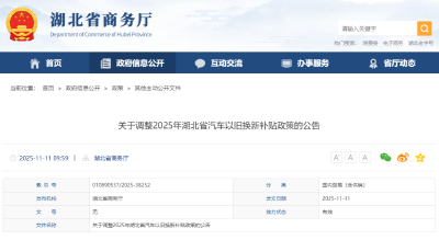 湖北汽车以旧换新补贴政策调整