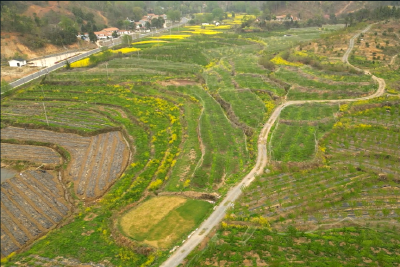 湖北安陆：激活雷公定位 奋力答好建设"考卷"