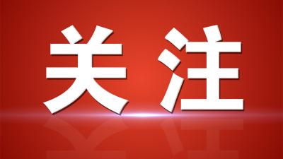 【视频】汉川市第七届人民代表大会第二次会议召开召集人会议