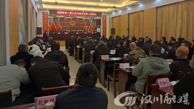 沉湖镇召开第十届人民代表大会第三次会议