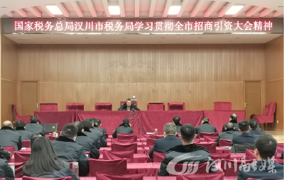 市税务局：发挥税收职能 服务招商引资