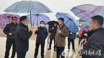 水利部有关领导调研汉川市农村供水保障工作