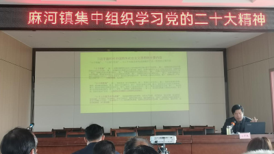 麻河镇集中学习党的二十大精神
