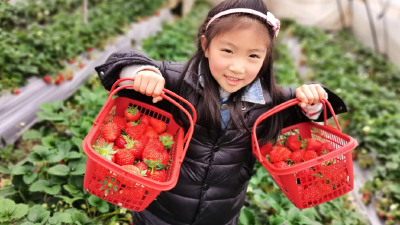 刘家隔镇：小乡村缔造“莓”好味道 