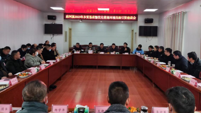 麻河镇召开乡贤恳谈暨招商引资优化营商环境座谈会
