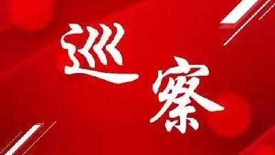 【视频】汉川市七届市委第二轮巡察开展情况反馈