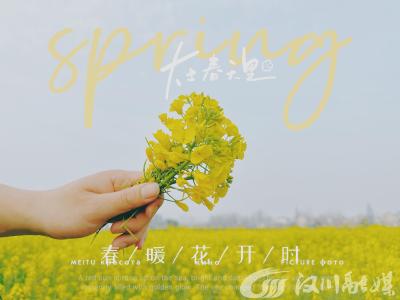湾潭油菜花已开  你的拍照姿势想好了吗？