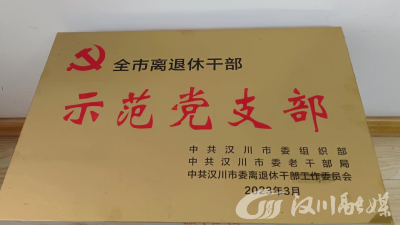 汉川市市场监管局夕阳红第四党支部被授予“示范党支部”称号