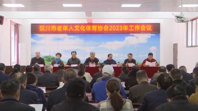 【视频】全市老年人文化体育协会工作会议召开