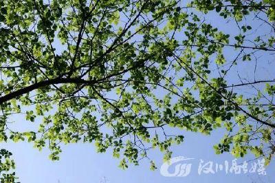 晴天余额不足！冷空气携风带雨，即将来袭！
