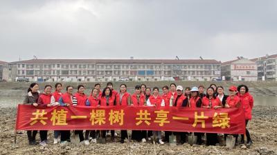 共植一棵树 共享一片绿