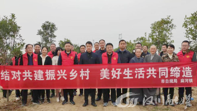 麻河镇：学雷锋植绿树 共同添彩产业路
