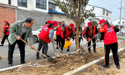 汈东街道：快乐“植”得期待  一起来植树吧！