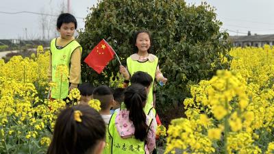 湾潭乡：菜花香中评最美 共“童”缔造趣味多
