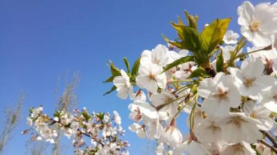 大风+大雨+降温！外套先别收……